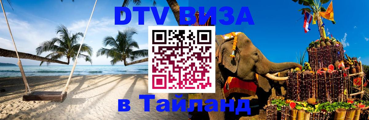 Оформление DTV визы под ключ: стоимость и тарифы, только загранпаспорт - Киев  18.11.2025 